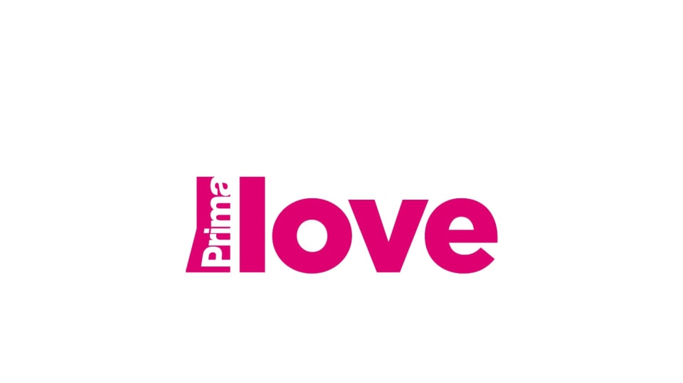 Prima LOVE logo big platno